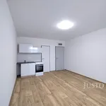 Pronájem bytu 1+kk 20m²