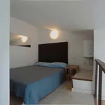 Rent 1 bedroom apartment of 20 m² in Madrid