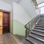 Rent 2 bedroom apartment of 50 m² in Praha 10 - Vinohrady