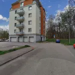 Rent 1 bedroom apartment of 33 m² in České Budějovice