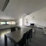 Rent 3 bedroom apartment of 100 m² in Reggio nell'Emilia