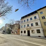 Rent 2 bedroom apartment of 53 m² in Graz