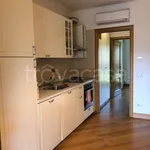 Rent 2 bedroom apartment of 53 m² in Roma