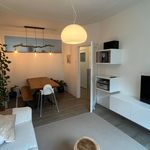 Huur 3 slaapkamer appartement van 75 m² in Den Haag