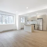  appartement avec 1 chambre(s) en location à Montreal