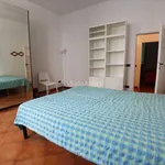 Rent 4 bedroom apartment of 80 m² in Firenze