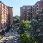 Rent 2 bedroom apartment of 60 m² in Torino