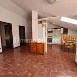 Rent 3 bedroom apartment of 70 m² in Cuneo