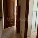 Rent 3 bedroom apartment of 65 m² in Torino