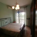 Rent 2 bedroom apartment of 50 m² in Turin