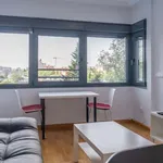 Rent 1 bedroom apartment of 60 m² in madrid