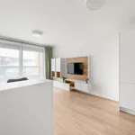 Studio of 34 m² in Prague