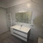 Rent 2 bedroom apartment of 55 m² in Monza