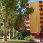 Rent 3 bedroom apartment in Alicante