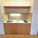 Rent 1 bedroom apartment of 40 m² in Kralupy nad Vltavou