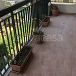 Rent 5 bedroom apartment of 110 m² in Firenze