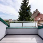 Rent 2 bedroom apartment of 54 m² in Graz