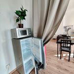 Rent 2 bedroom apartment of 40 m² in Dresden