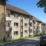 Rent 3 bedroom apartment of 57 m² in Lüdenscheid