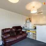 Rent 1 bedroom apartment in Dunedin