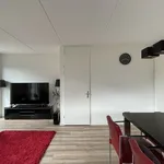 Rent 6 bedroom house of 148 m² in Wesselerbrink Noord-West