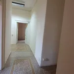 Rent 5 bedroom apartment of 300 m² in Roma