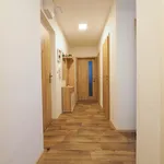 Rent 2 bedroom apartment of 45 m² in Қараөзен ауылдық округі