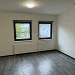 Rent 1 bedroom apartment of 34 m² in Hradec Králové