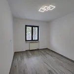 Rent 2 bedroom apartment of 75 m² in Roma