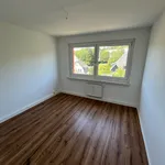 Rent 4 bedroom apartment of 70 m² in Chemnitz