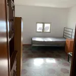 Rent 2 bedroom apartment of 50 m² in Napoli