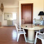 Rent 4 bedroom apartment of 85 m² in Frosinone