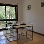 Rent 3 bedroom apartment of 92 m² in Porto