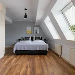 Rent 1 bedroom apartment of 646 m² in Berlin