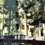 Rent 1 bedroom apartment of 39 m² in Bardonecchia