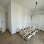 Rent 4 bedroom apartment of 100 m² in Novara