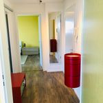 Miete 2 Schlafzimmer wohnung von 60 m² in Dresden