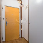 Rent 1 bedroom apartment of 36 m² in Aš