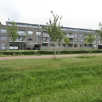 Rent 3 bedroom apartment of 102 m² in Houten