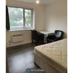 Rent 3 bedroom flat in East Of England