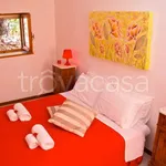 Rent 5 bedroom apartment of 140 m² in Cascia