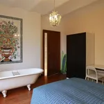 Rent a room in brussels