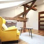 Rent 1 bedroom apartment of 34 m² in Prague