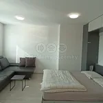 Rent 1 bedroom apartment of 34 m² in Most