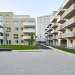 Rent 2 bedroom apartment of 52 m² in Vienna