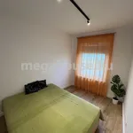 Rent 1 bedroom apartment of 64 m² in Budapest