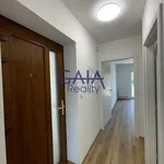 Rent 2 bedroom apartment of 35 m² in Čejč