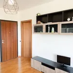 Rent 1 bedroom apartment in Milan