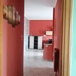 Rent 2 bedroom apartment of 50 m² in Chivasso