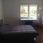 Rent a room of 130 m² in valencia